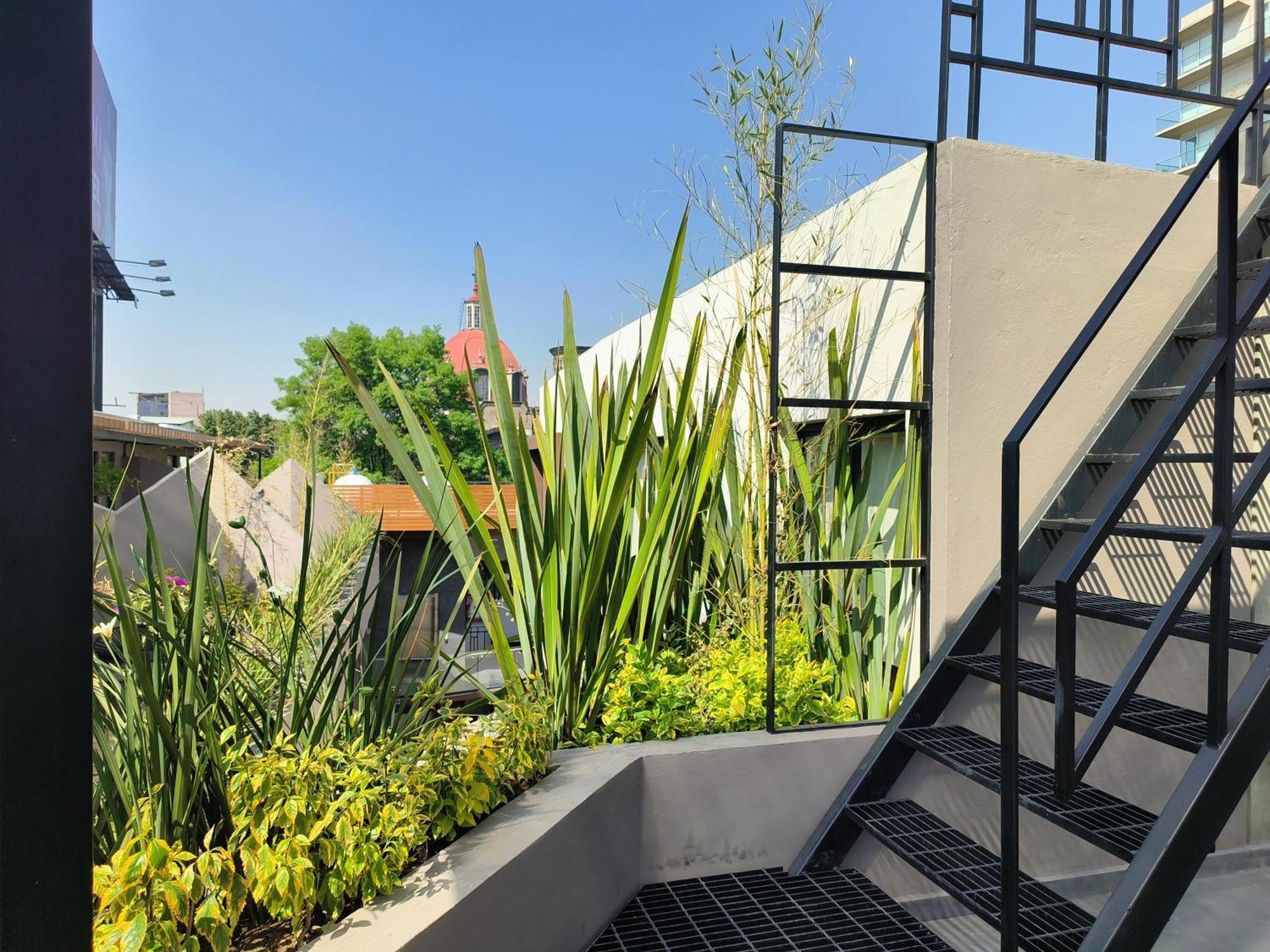 Апартаменты Flats Friends Condesa-Pelotari Мехико Экстерьер фото