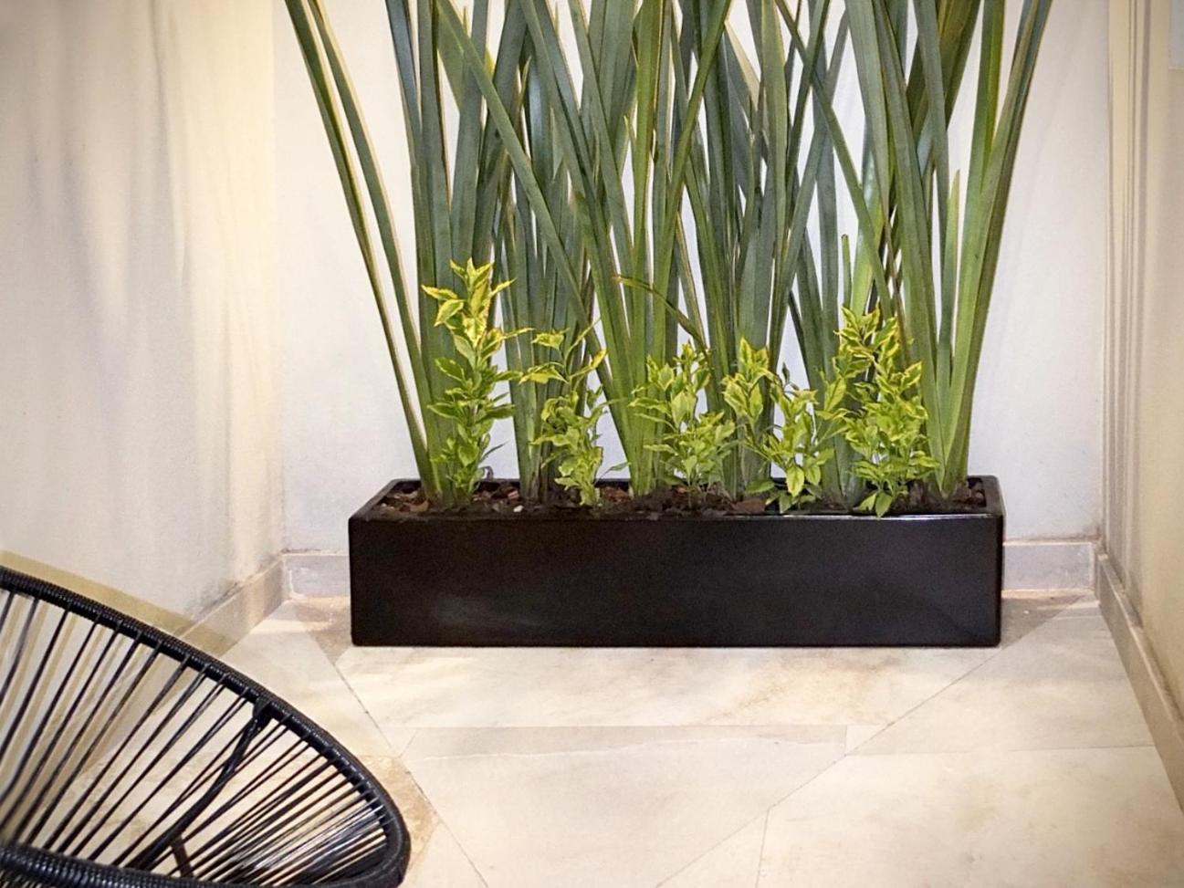 Апартаменты Flats Friends Condesa-Pelotari Мехико Номер фото